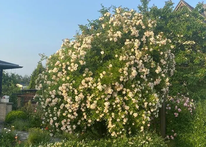 Apartment Hinterhermsdorf Glaser *